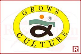 Grows Culture