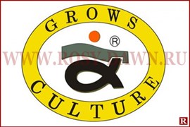 Grows Culture