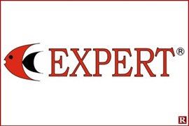 Expert