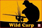Бойлы Wild Carp