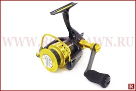 Ryobi Zauber CF