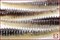Kinetic Super Swing Fat 3.8", 429