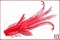 Нимфы Red Bass
