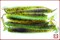 Diamond Swing Impact 3.5", 8шт, 401(Green Pumpkin/Chartreuse) - фото 8878